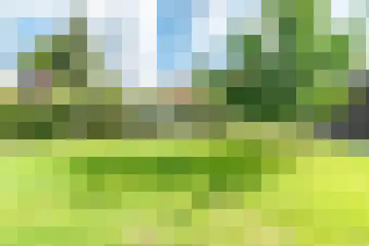 Woolderesweg 88 Hengelo thumbnail 37