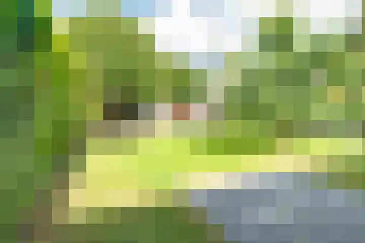 Woolderesweg 88 Hengelo thumbnail 38