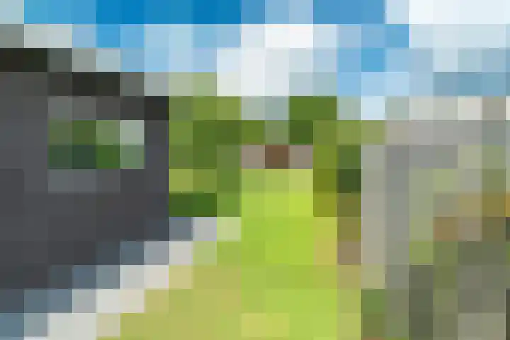 Woolderesweg 88 Hengelo thumbnail 4
