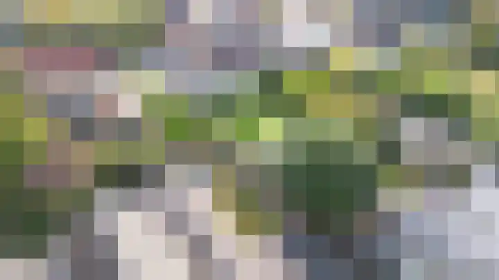 Woolderesweg 88 Hengelo thumbnail 44