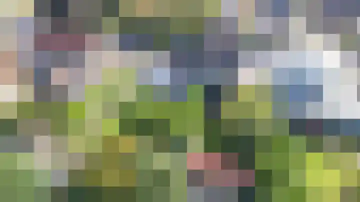 Woolderesweg 88 Hengelo thumbnail 45