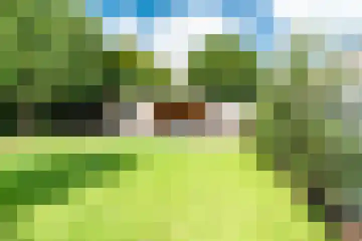 Woolderesweg 88 Hengelo thumbnail 5