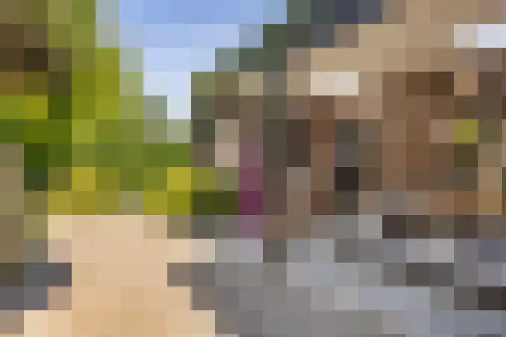 Woolderesweg 98 Hengelo thumbnail 23