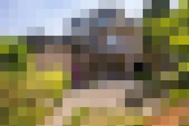 Woolderesweg 98 Hengelo thumbnail 27