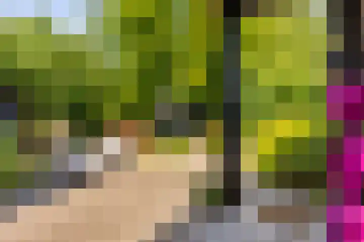 Woolderesweg 98 Hengelo thumbnail 29