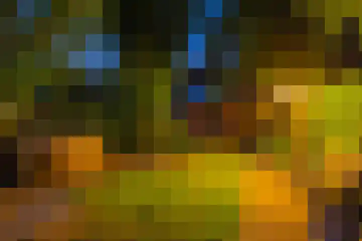 Woolderesweg 98 Hengelo thumbnail 30