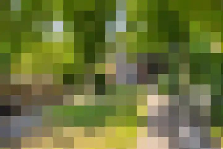 Woolderesweg 98 Hengelo thumbnail 31
