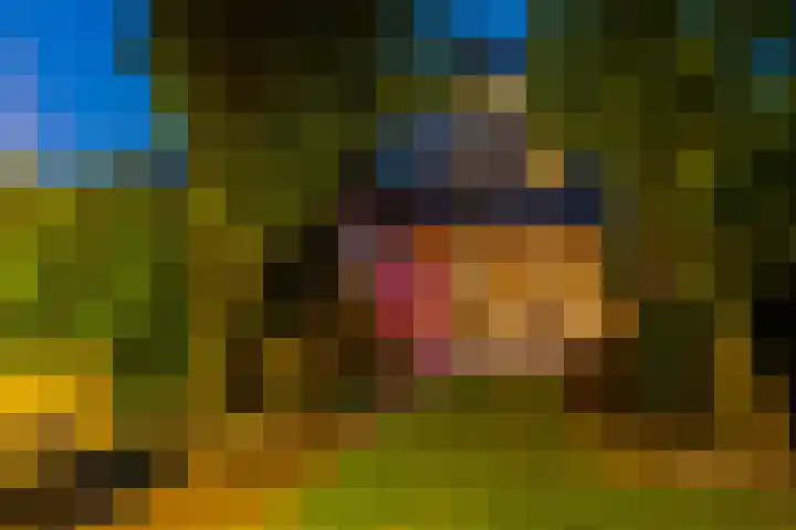 Woolderesweg 98 Hengelo thumbnail 33
