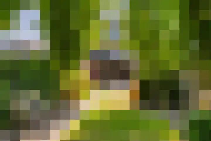 Woolderesweg 98 Hengelo thumbnail 34