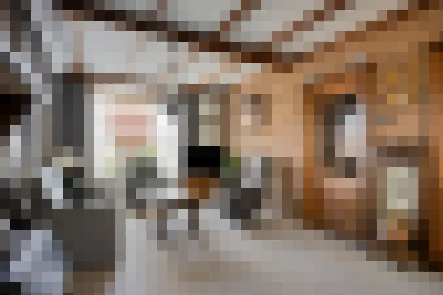 Woolderweg 60 Borne thumbnail 11