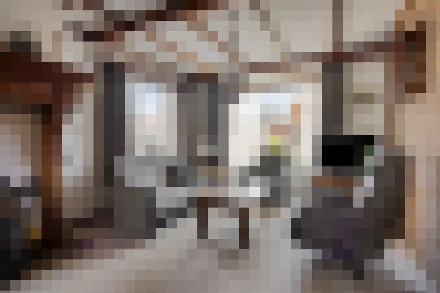Woolderweg 60 Borne thumbnail 4