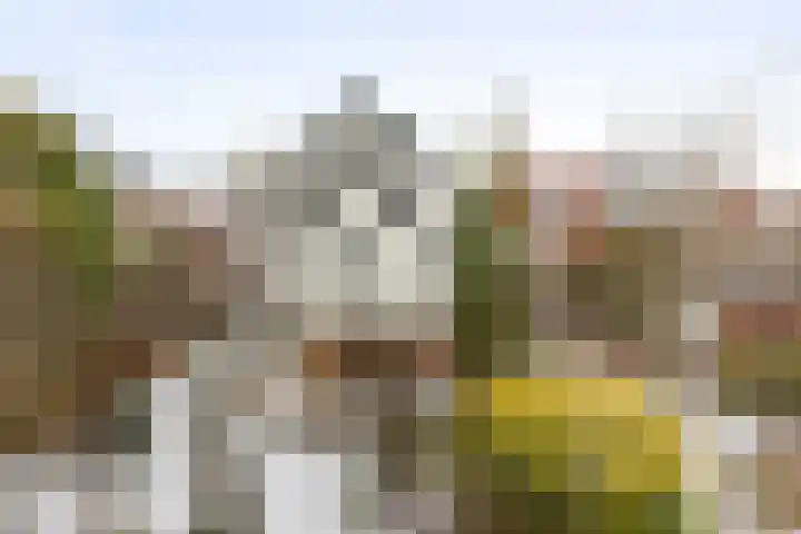 Woolderweg 63 Borne thumbnail 19