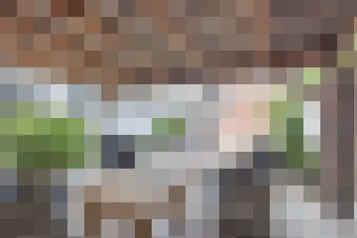 Woolderweg 85 Borne thumbnail 28