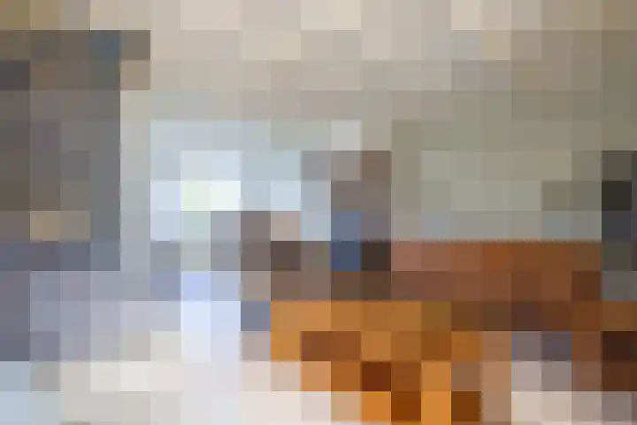 Woolderweg 85 Borne thumbnail 7