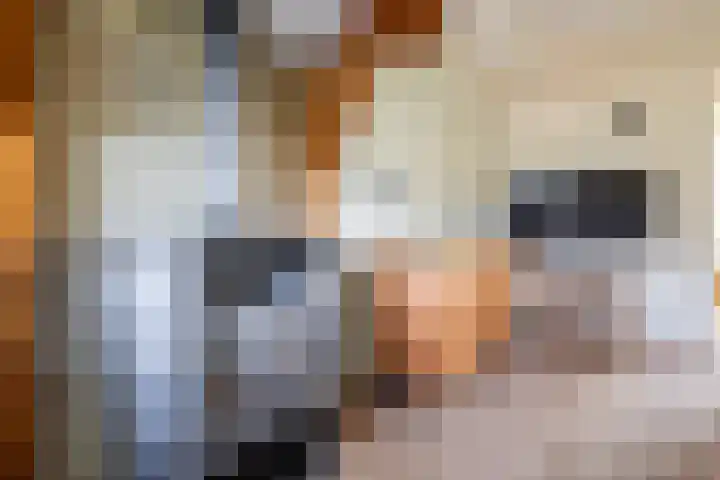 Woolderweg 85 Borne thumbnail 8
