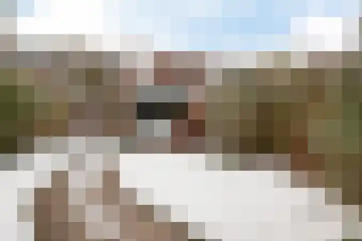 Wooldrikshoekweg 27 Enschede thumbnail 4