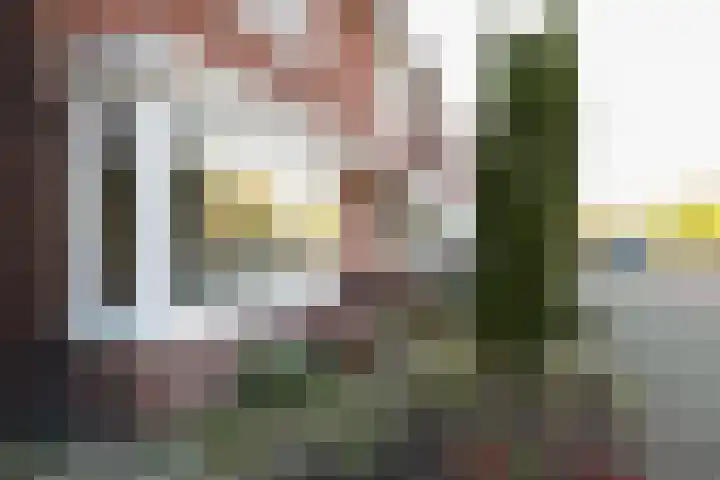 Wooldrikshoekweg 60 Enschede thumbnail 5