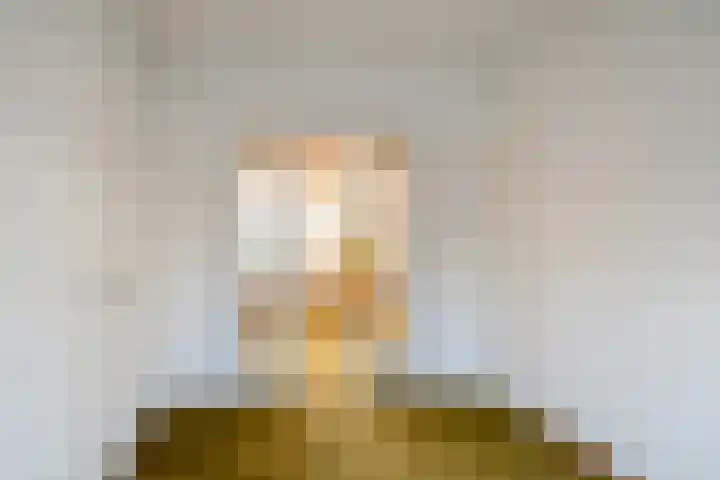 Wooldrikshoekweg 60 Enschede thumbnail 9