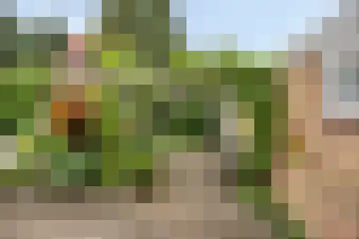 Wooldrikshoekweg 80 Enschede thumbnail 24
