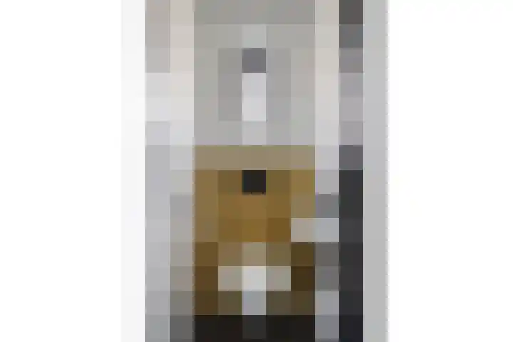 Wooldrikshoekweg 80 Enschede thumbnail 7