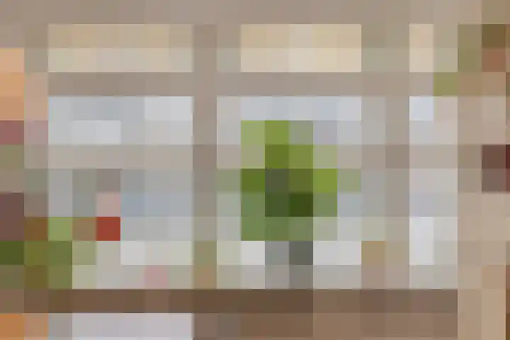 Wooldriksweg 185 Enschede thumbnail 16