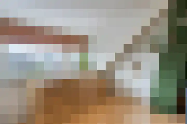 Wooldriksweg 185 Enschede thumbnail 34