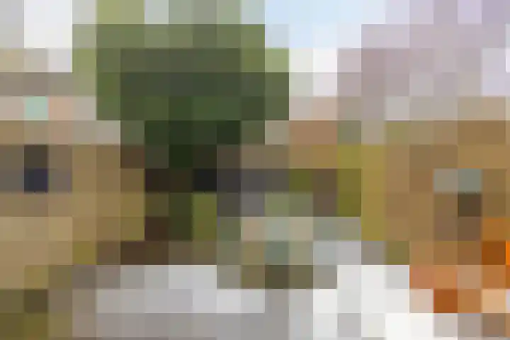 Wooldriksweg 185 Enschede thumbnail 36