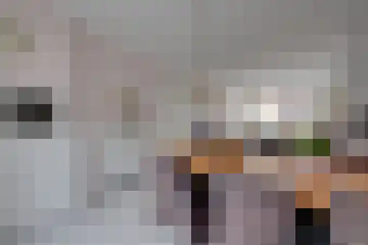 Wooldriksweg 205 Enschede thumbnail 12