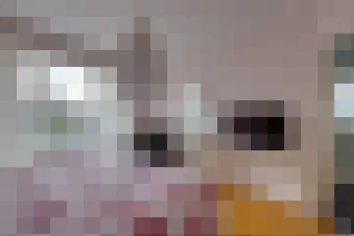 Wooldriksweg 205 Enschede thumbnail 18