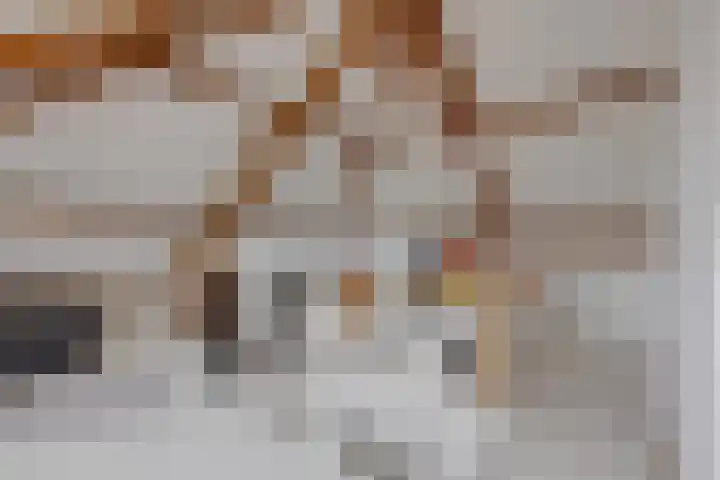 Wooldriksweg 205 Enschede thumbnail 27