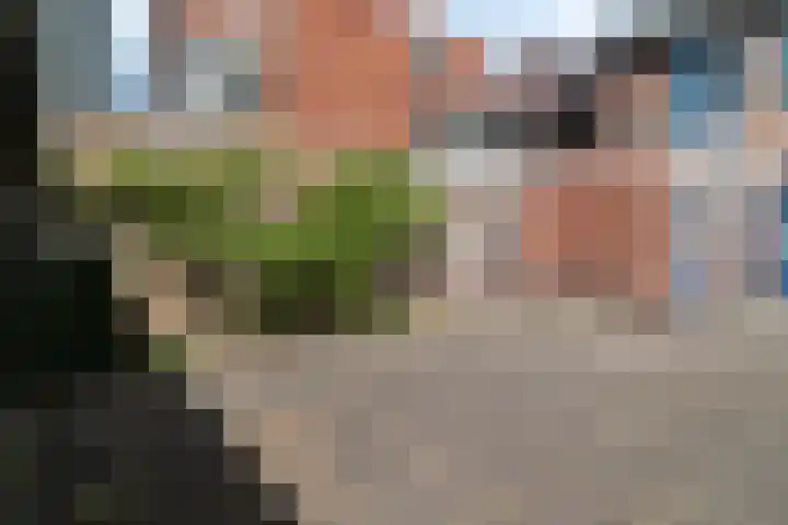 Wooldriksweg 205 Enschede thumbnail 33