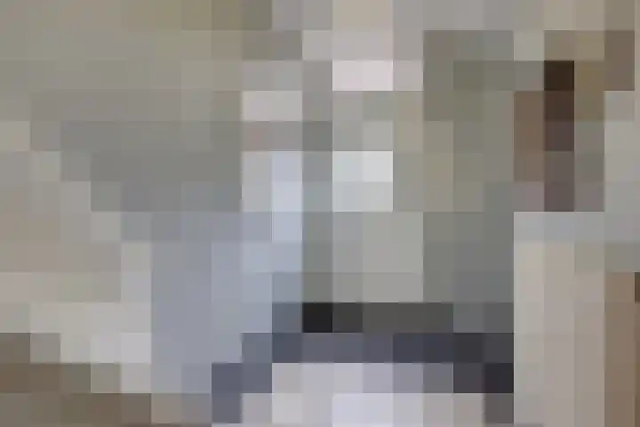 Wooldriksweg 205 Enschede thumbnail 6
