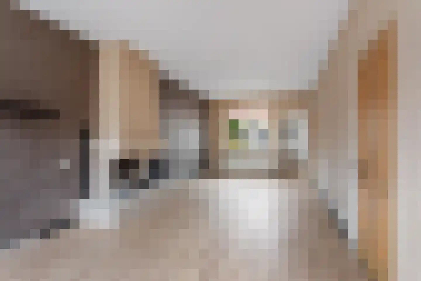 Wooldriksweg 35 Enschede thumbnail 9