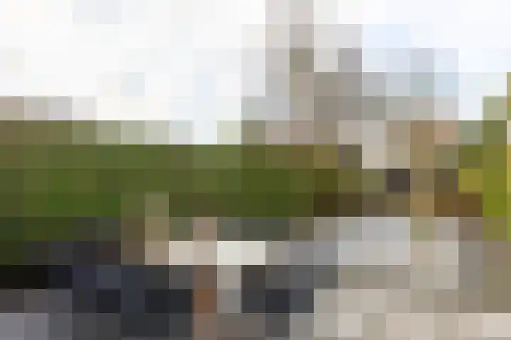Wooldseweg 2 Winterswijk thumbnail 39