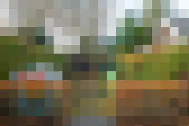 Wooldseweg 2 Winterswijk thumbnail 40