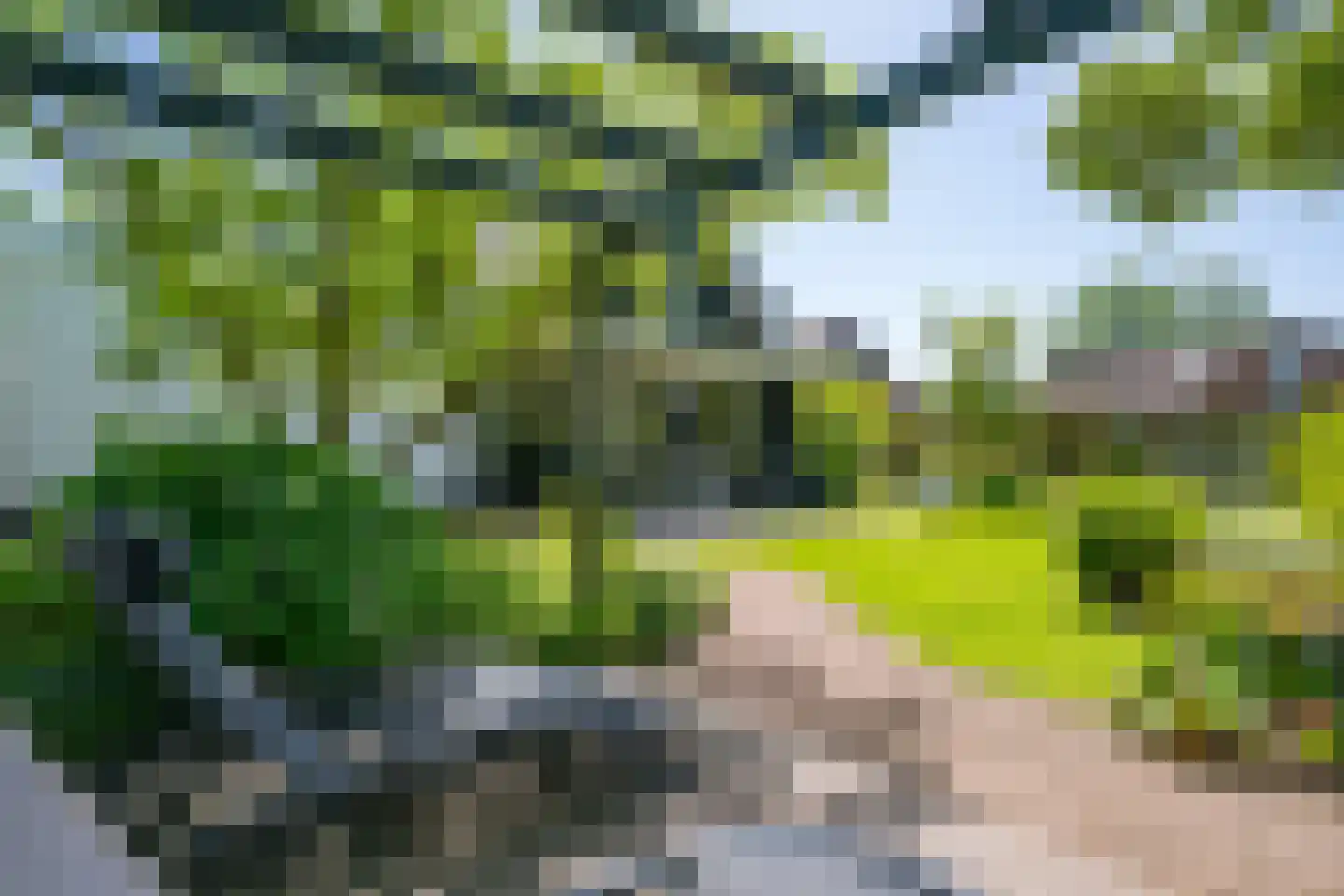 Wooldseweg 46 Winterswijk thumbnail 46