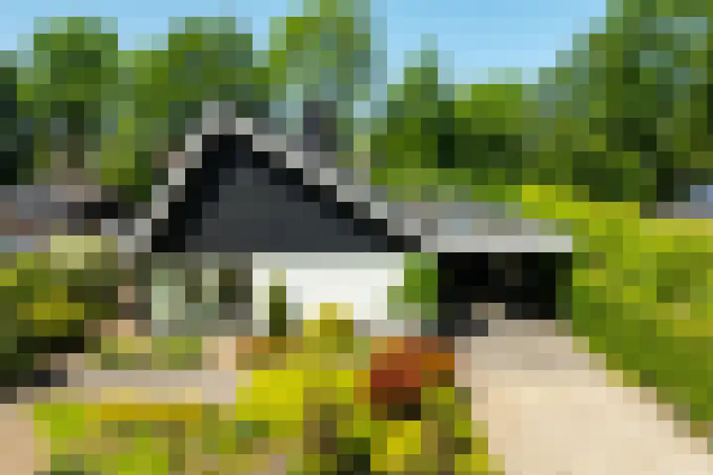 Wooldseweg 46 Winterswijk thumbnail 65