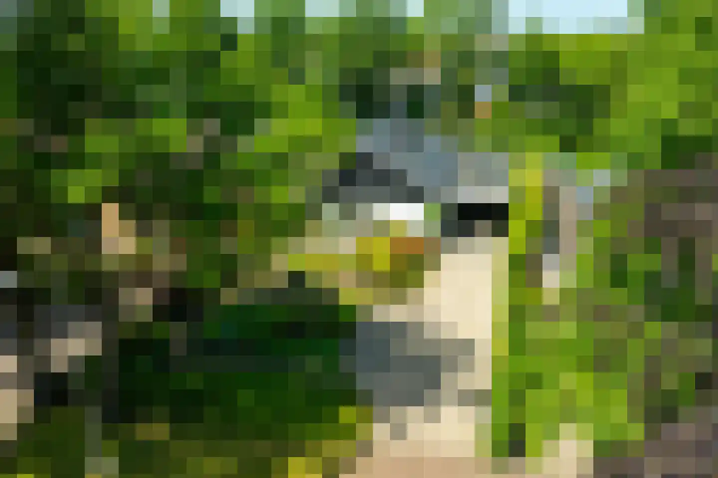 Wooldseweg 46 Winterswijk thumbnail 66