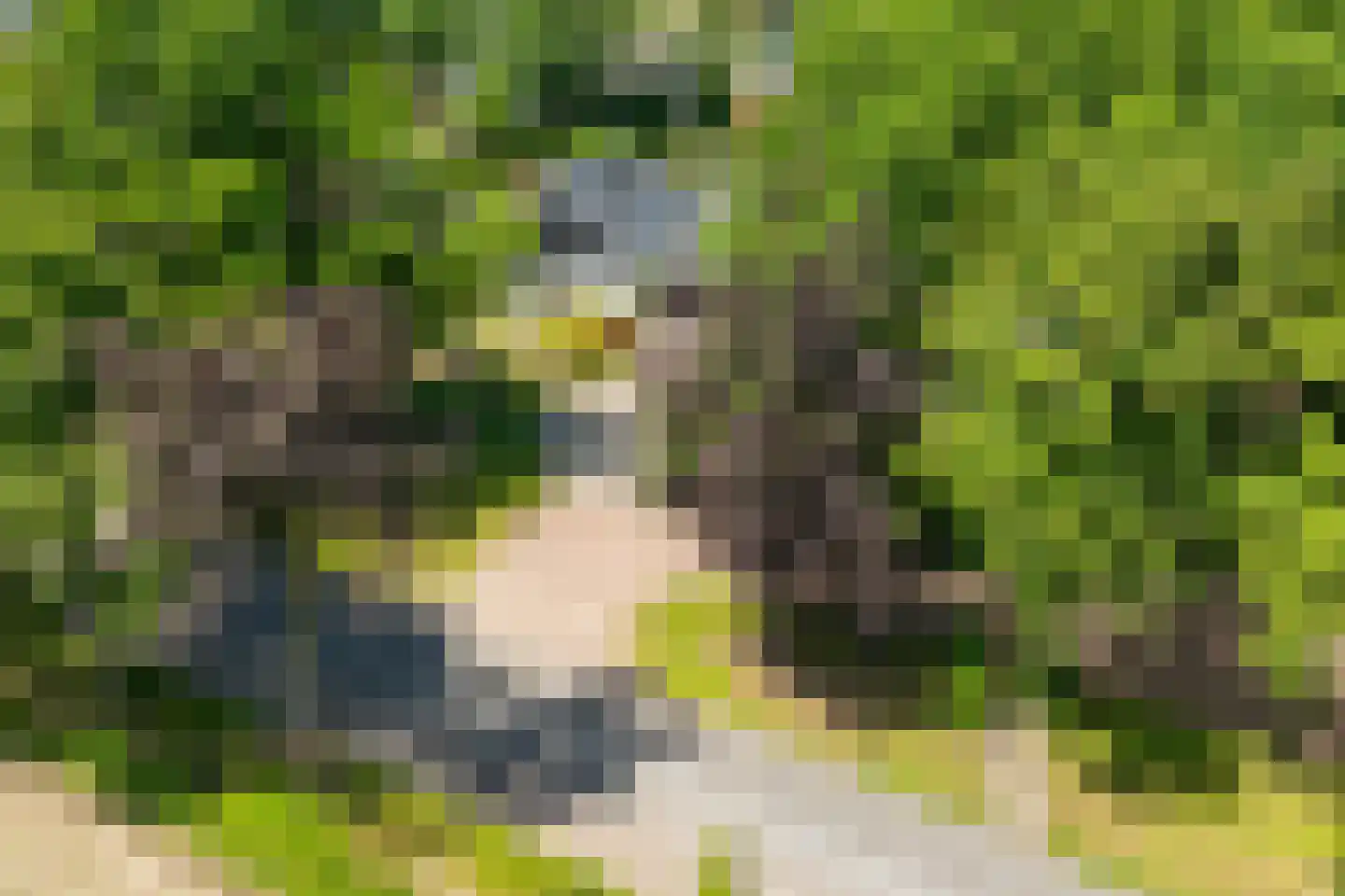 Wooldseweg 46 Winterswijk thumbnail 68