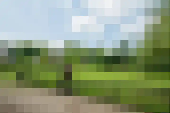Wooldseweg 66 Winterswijk Woold thumbnail 38
