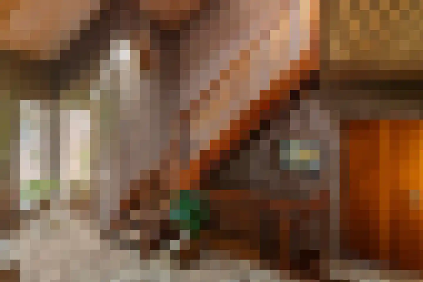Woolthuisweg 39 Heino thumbnail 15