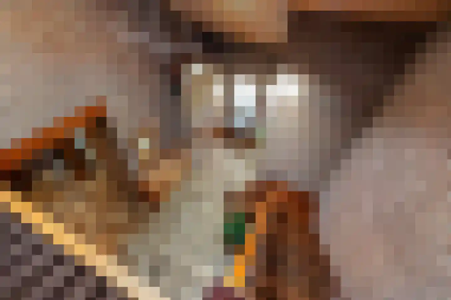 Woolthuisweg 39 Heino thumbnail 17