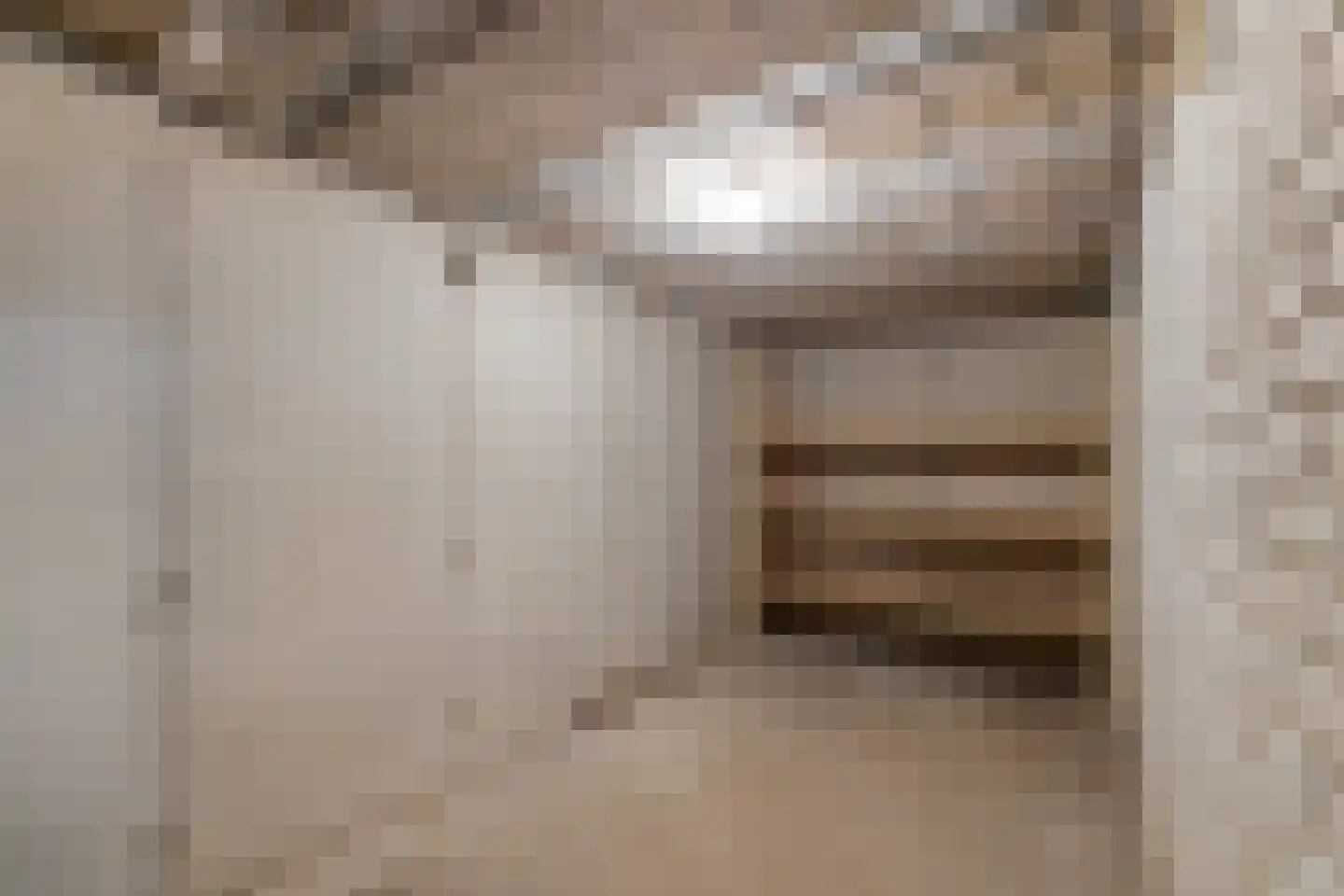 Woolthuisweg 39 Heino thumbnail 20