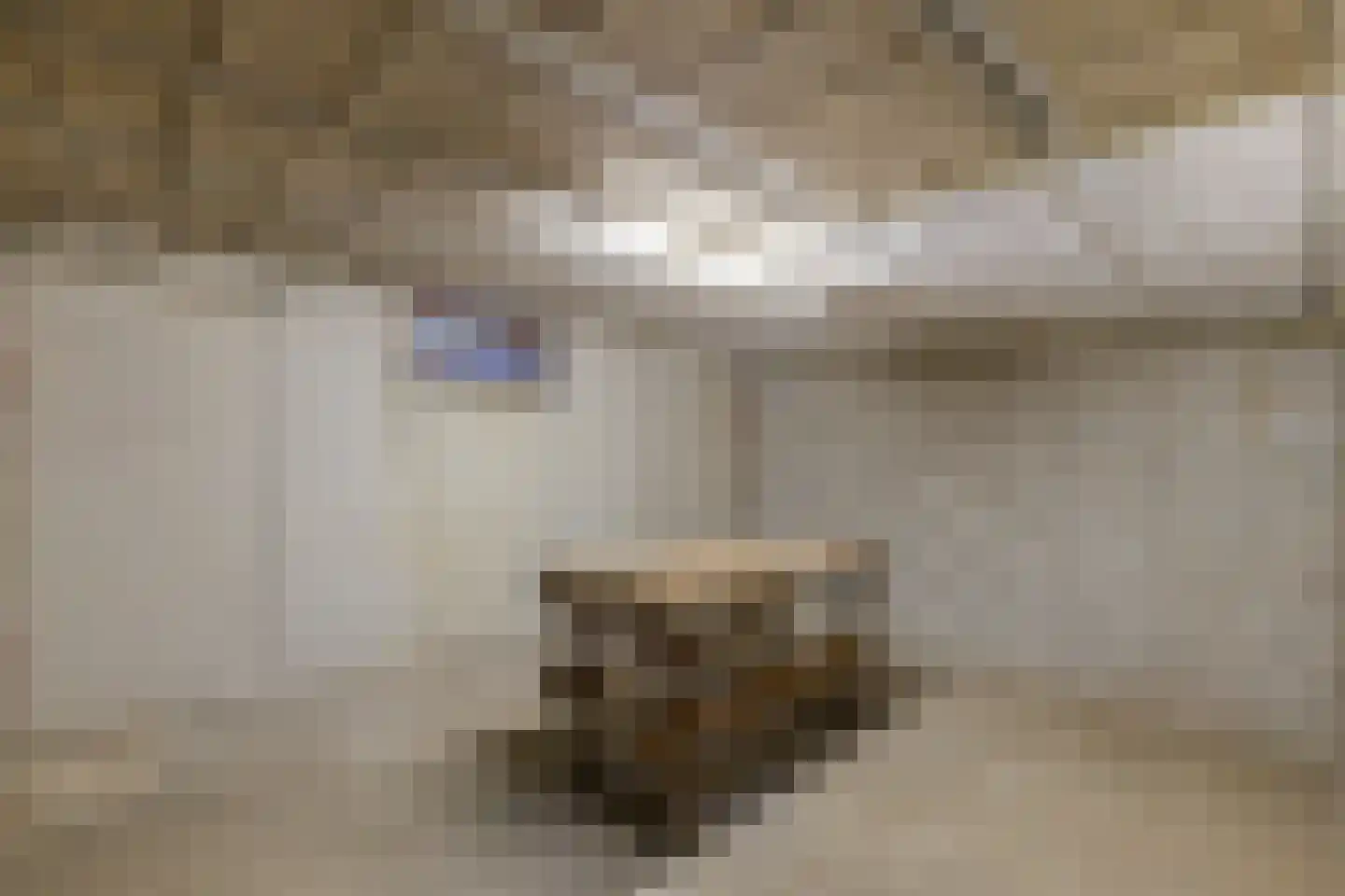 Woolthuisweg 39 Heino thumbnail 21
