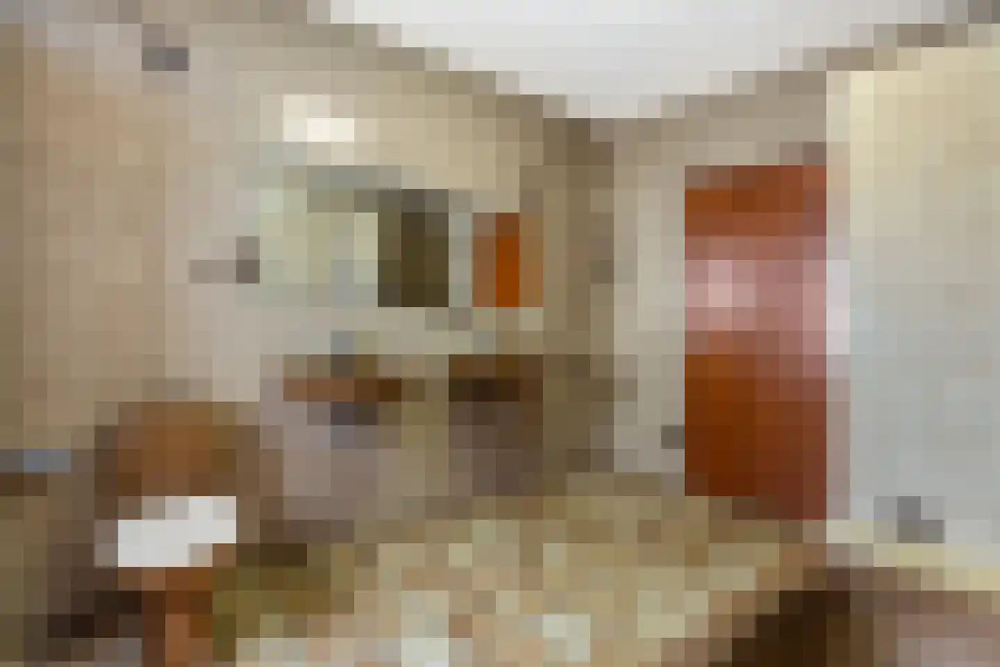 Woolthuisweg 39 Heino thumbnail 27