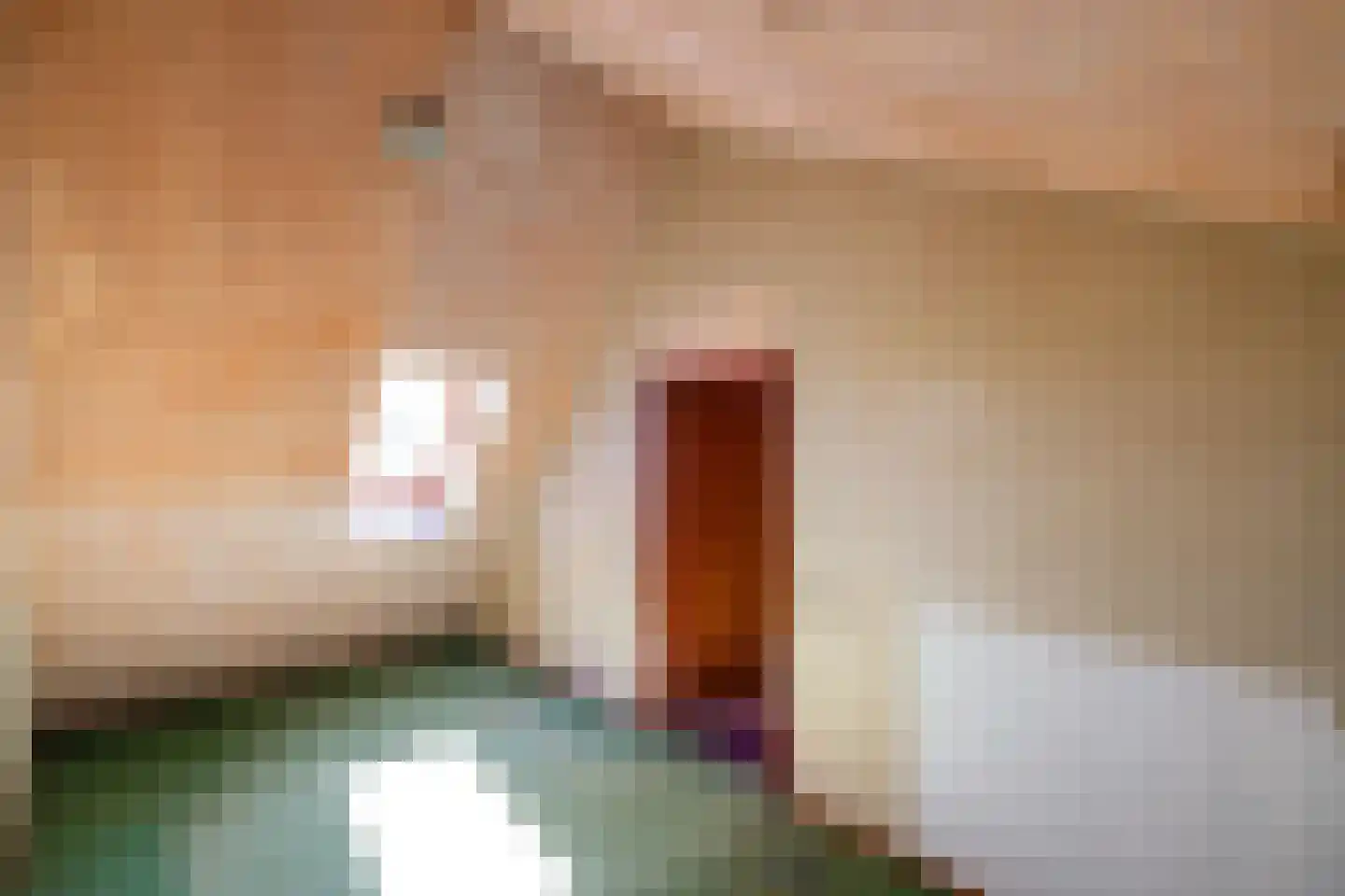 Woolthuisweg 39 Heino thumbnail 31