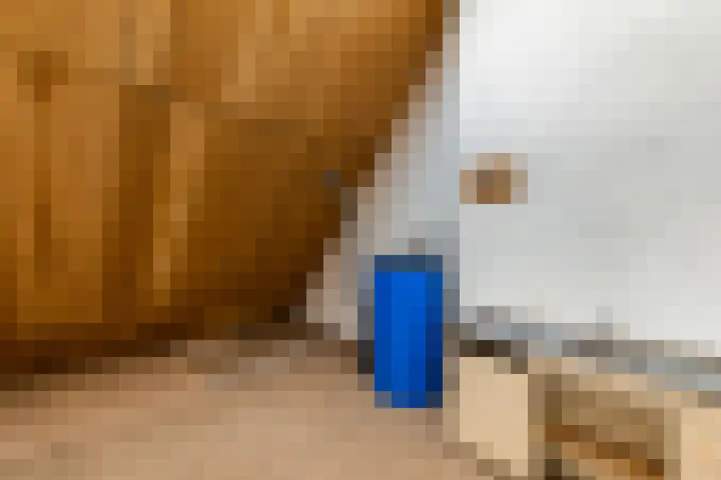 Woolthuisweg 39 Heino thumbnail 34