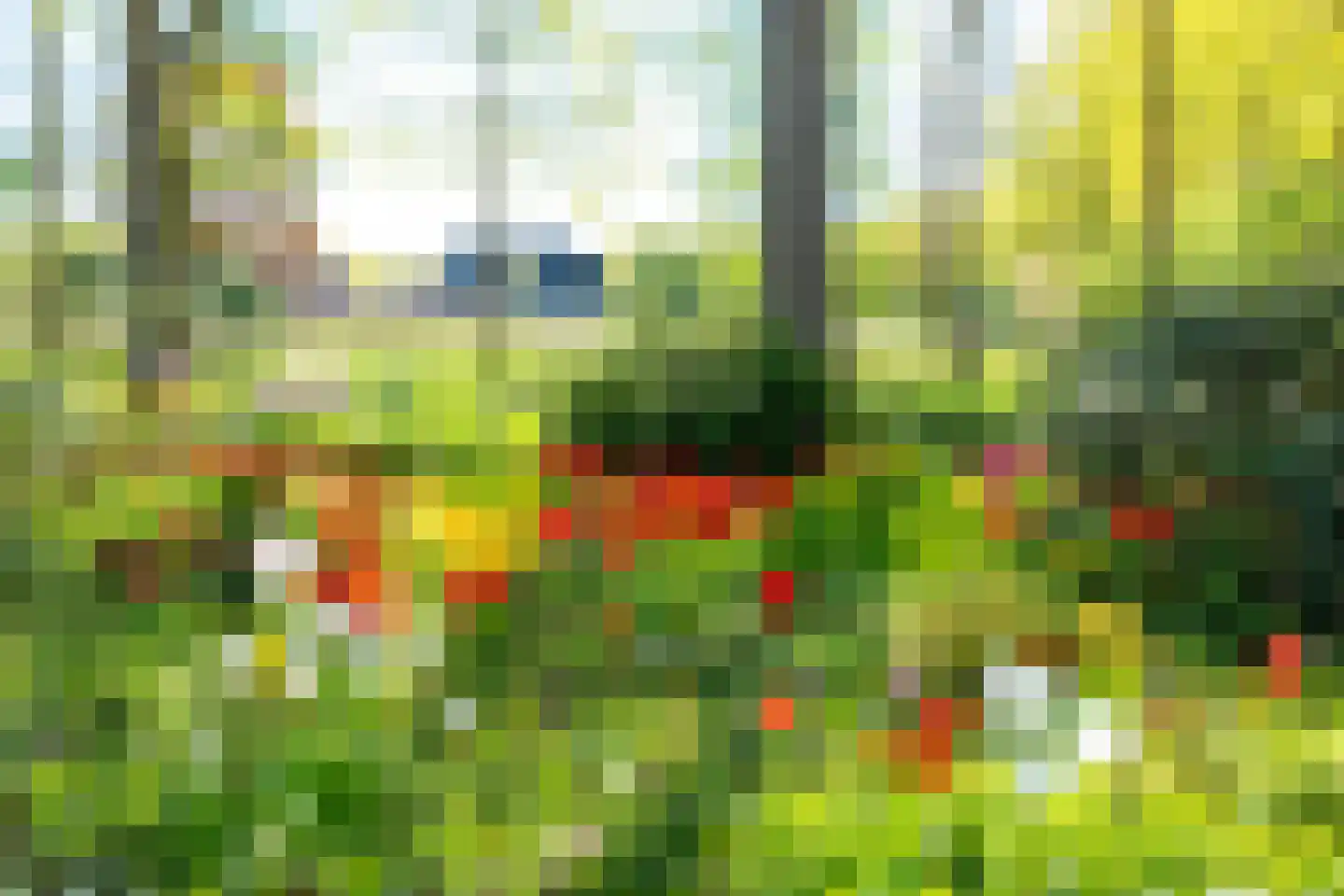 Woolthuisweg 39 Heino thumbnail 41