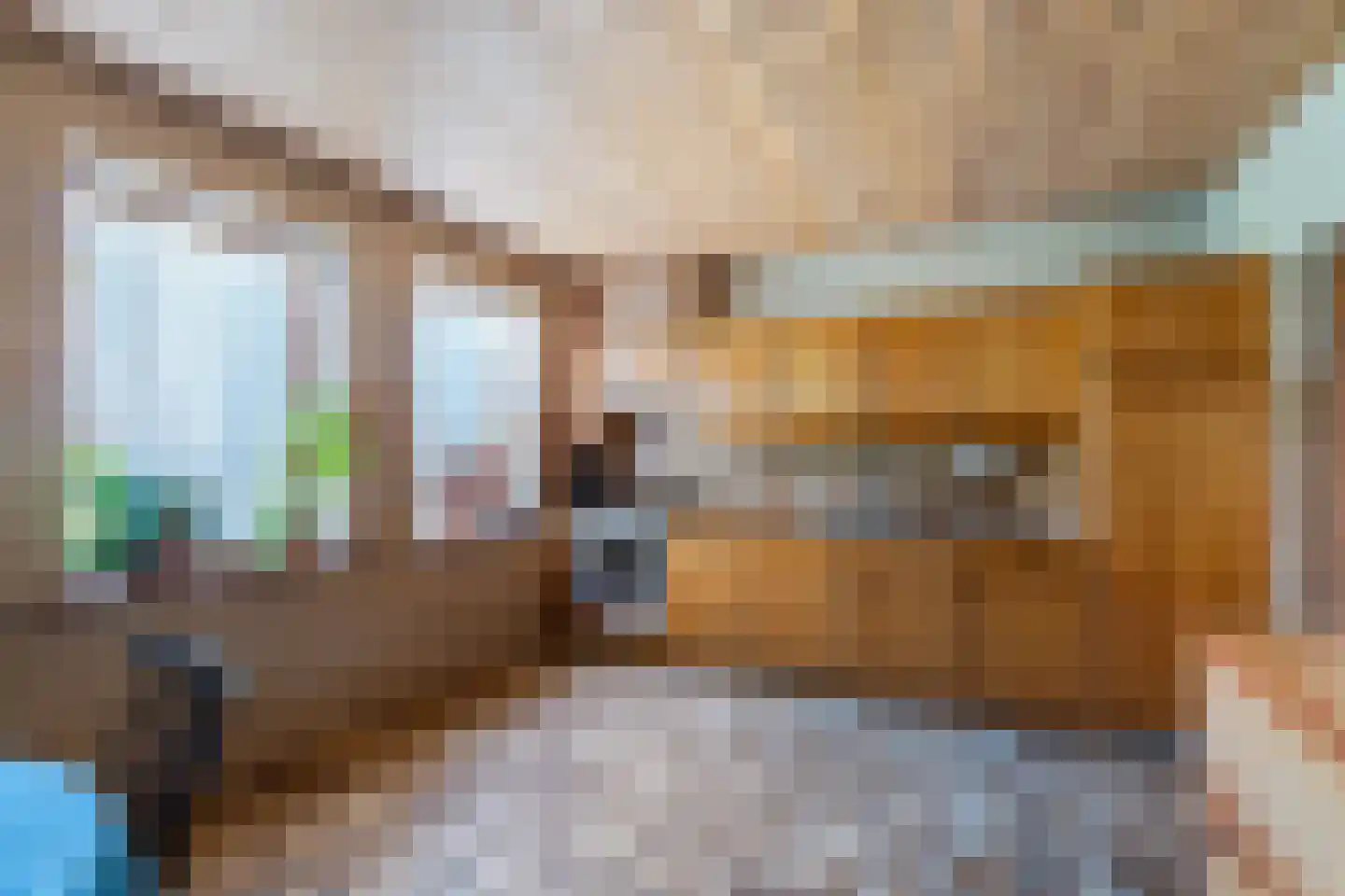 Woolthuisweg 39 Heino thumbnail 8