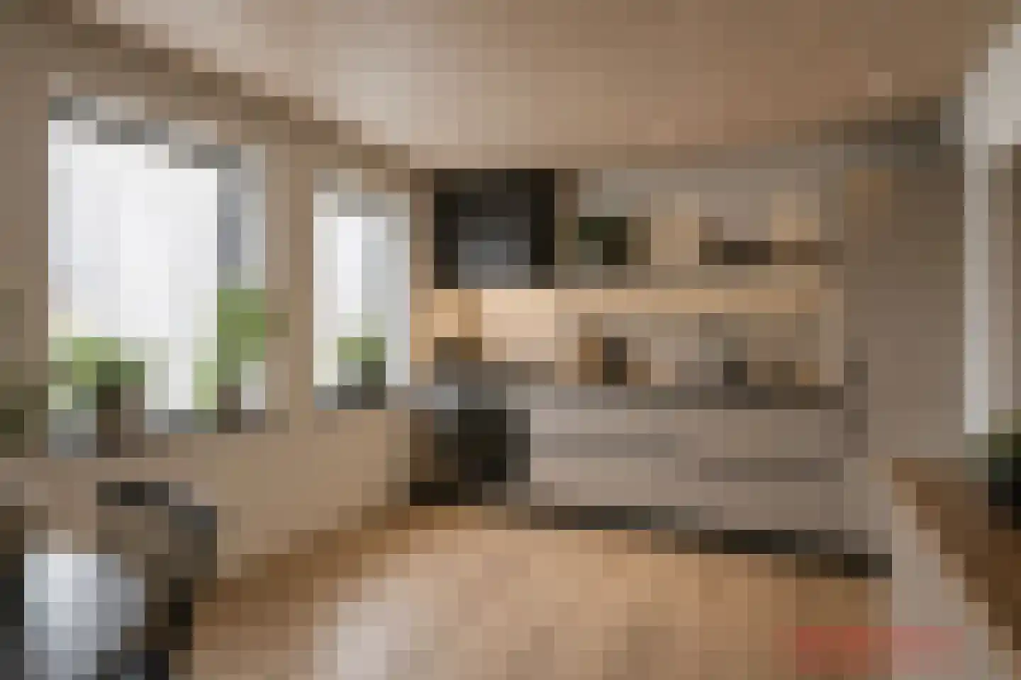 Woolthuisweg 39 Heino thumbnail 9